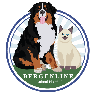 Bergenline Animal Hospital Logo