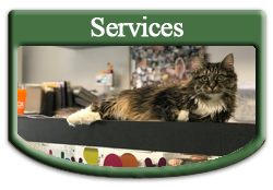 Services